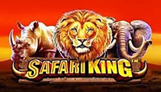 SafariKing